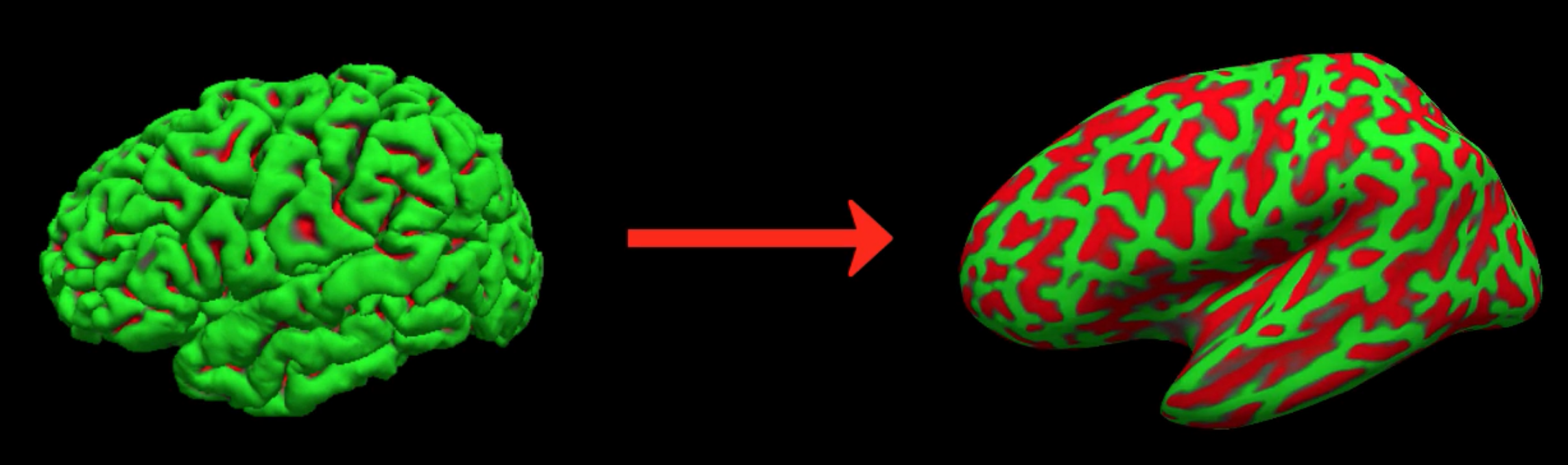 ../../_images/03_Pial_Inflated.png