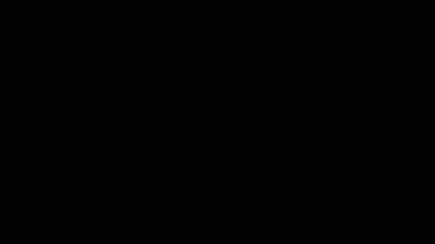 ../_images/VariableAssignment.gif